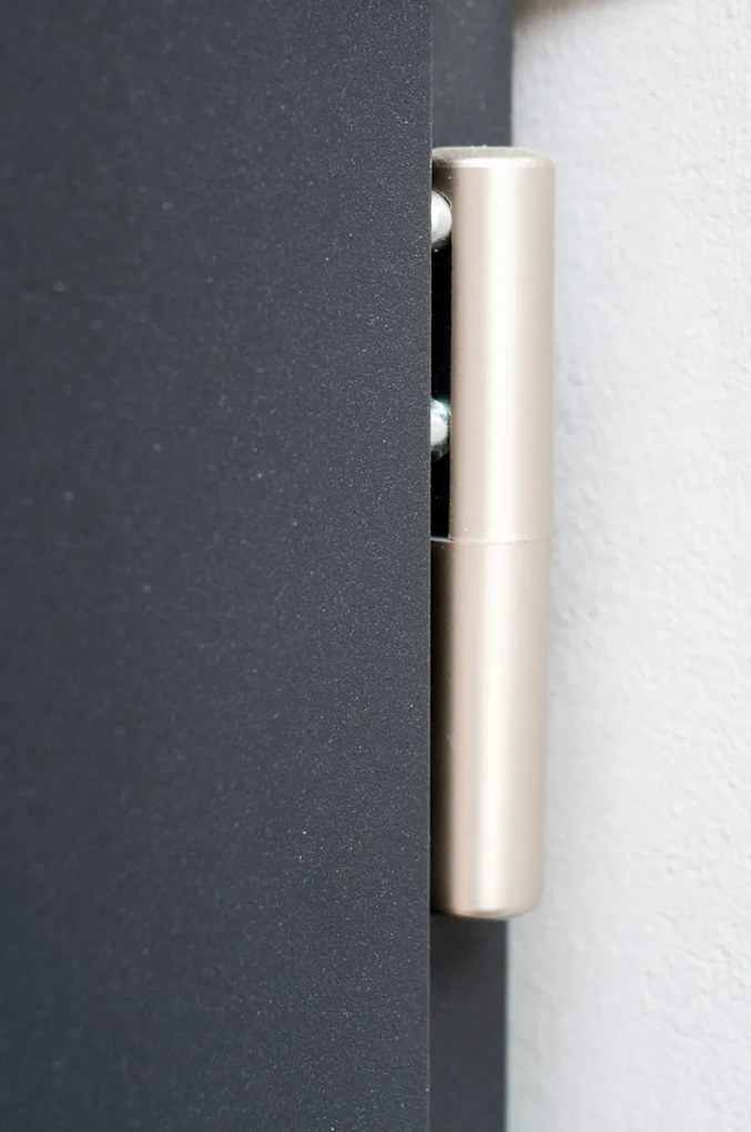 Usa Metalica de intrare in casa cu luminator lateral Turenwerke DS92 Gri Antracit, ST, Maner bara, 300mm