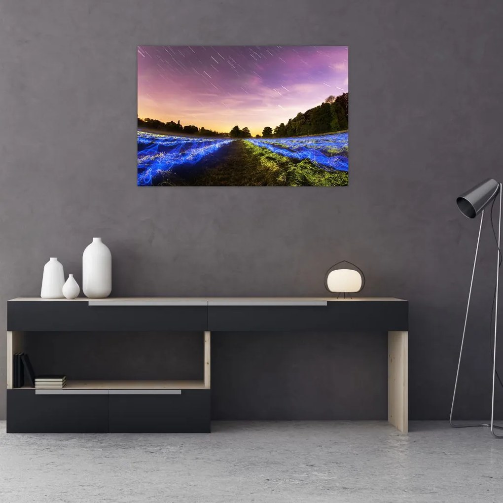 Tablou cu câmp colorat (90x60 cm)