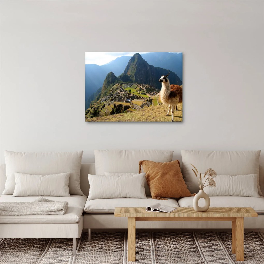 Tablou - Lama și Machu Picchu (70x50 cm)