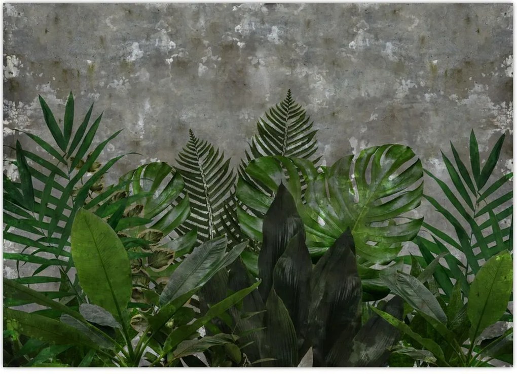 Tablou - Zid de beton cu plante (70x50 cm)