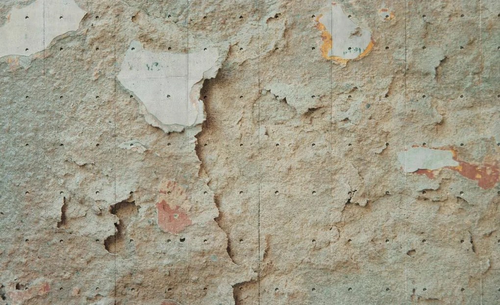 Fototapet - Perete (254x184 cm)