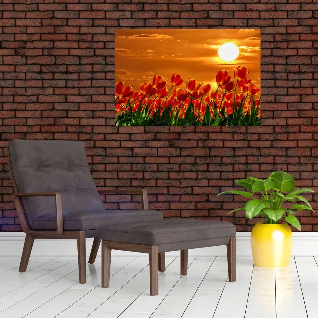 Tablou - lan înflorit de lalele (90x60 cm)