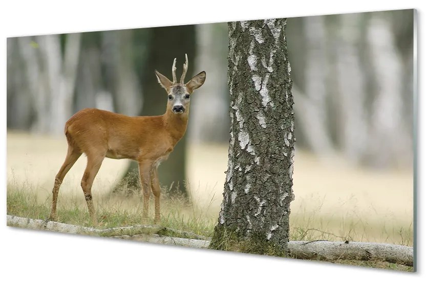 Tablouri acrilice pădure cerb