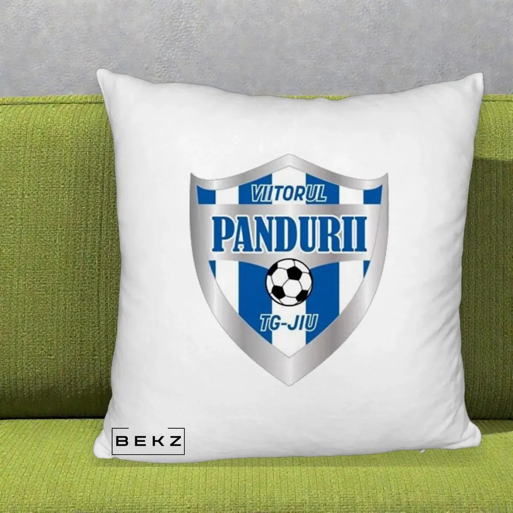 Perna Personalizata Pandurii Targu Jiu Fotbal, 40x40 cm, Alb Pufos, Husa Detasabila, Perna Inclusa, BEKZ®