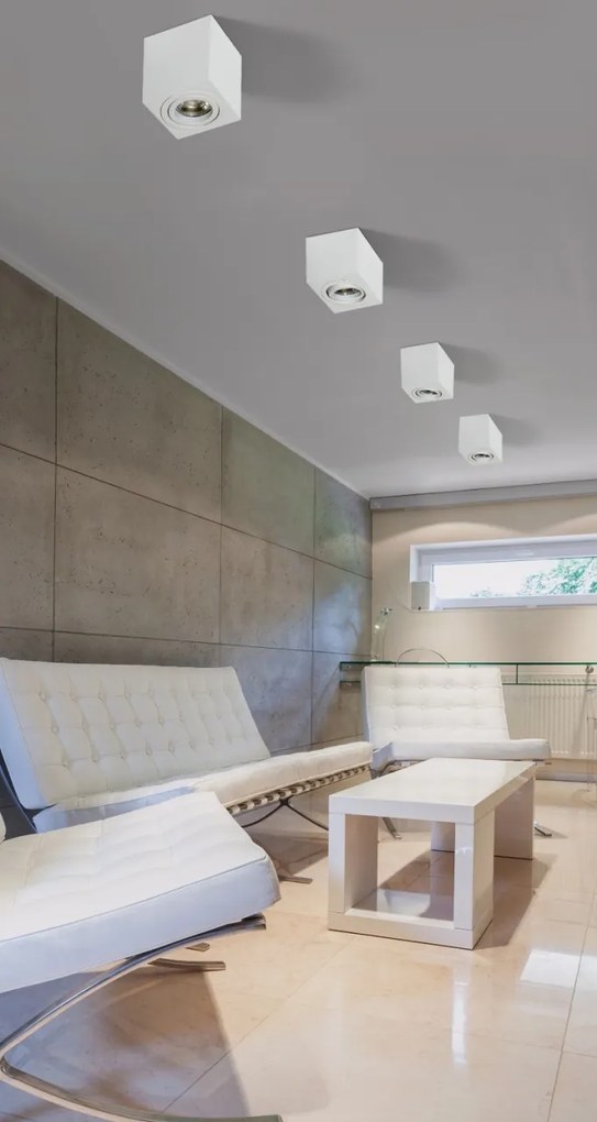Spot aplicat tavan/plafon stil modern ELOY 2 Aluminiu