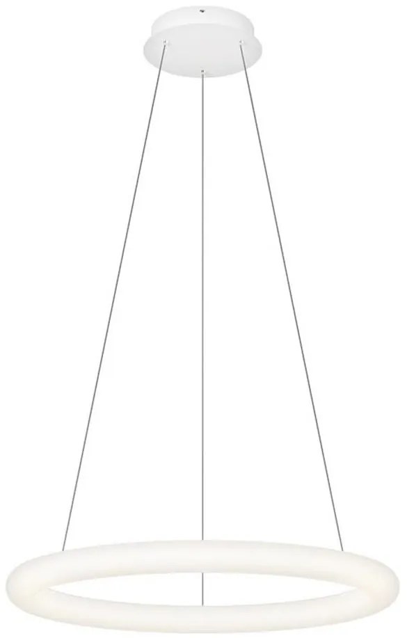 Top Light -LED Lustră reglabilă pe cablu RINGO LED/40W/230V 3000-6500K albă+telecomandă