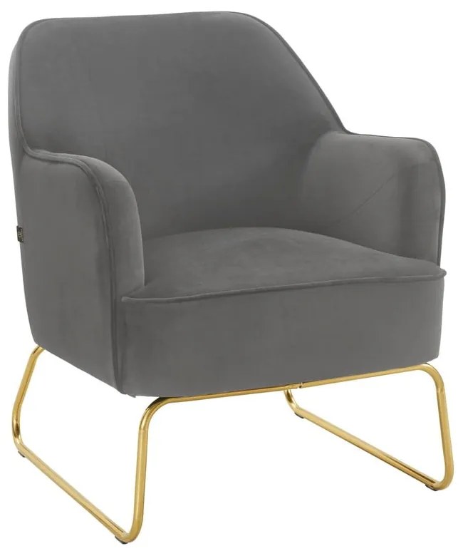 Fotoliu gri cu tapițerie din catifea Joshua - Støraa