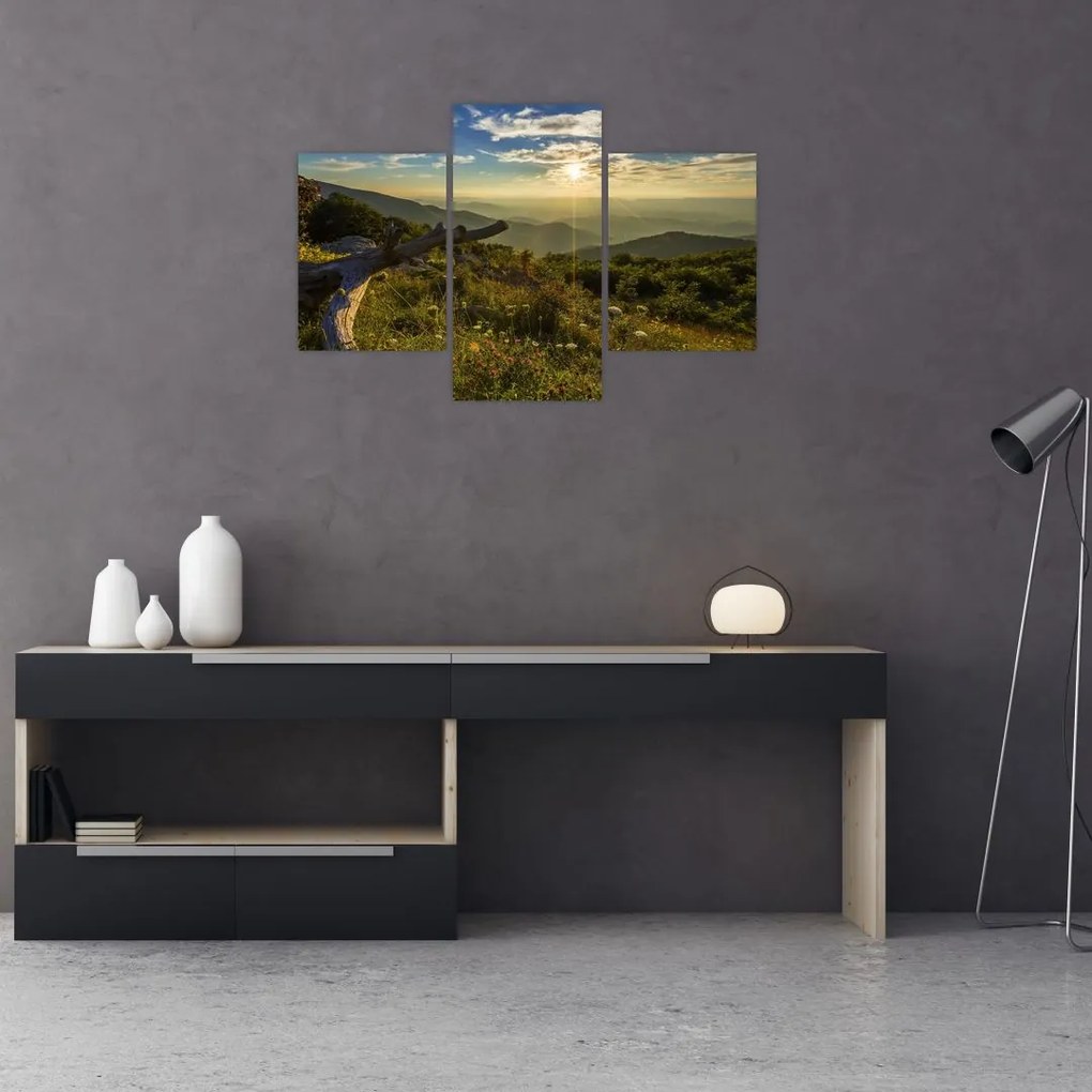 Tablou - Priveliștea (90x60 cm)