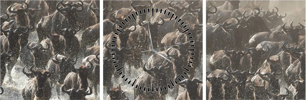 Tablou - Turmă de antilope sălbatice (cu ceas) (90x30 cm)