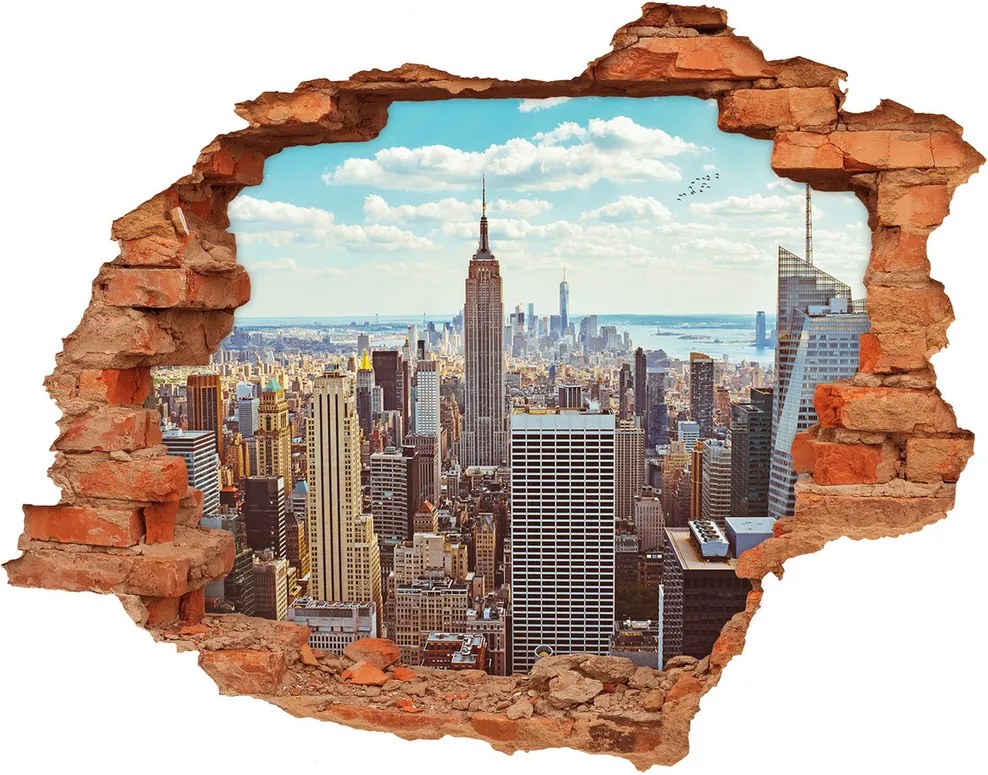 Fototapet un zid spart cu priveliște New York pasăre de zbor
