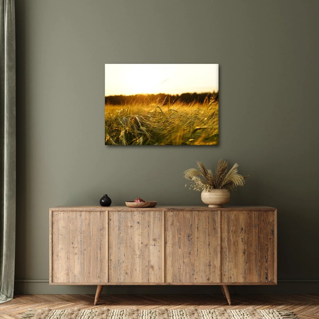 Tablou iarba cu rouă (70x50 cm)