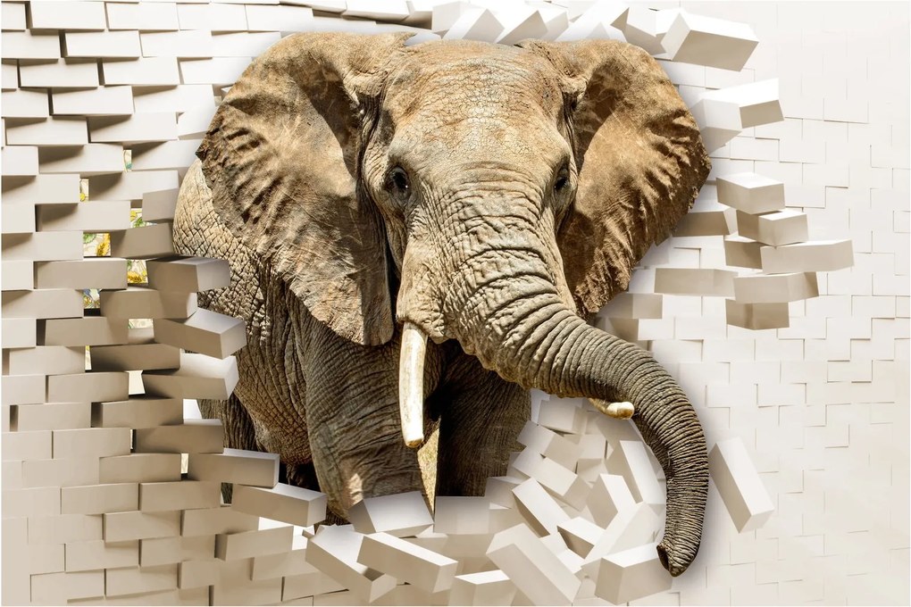 Tablou - Elefant spârgând peretele (90x60 cm)