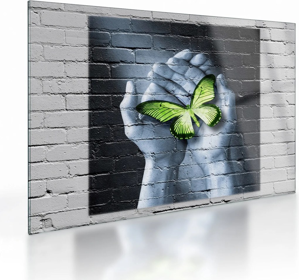 Tablou pe sticlă - Fluture verde în perete (70x50 cm)