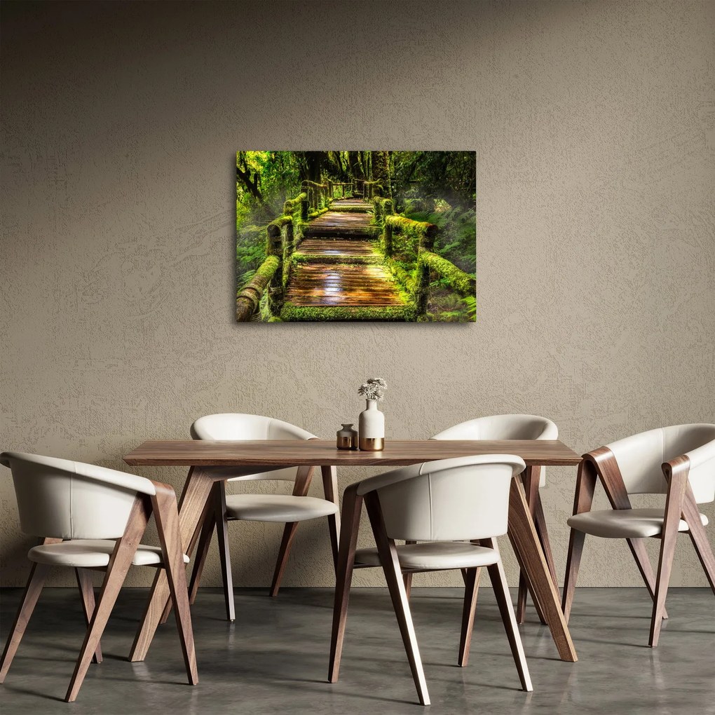 Tablou cu scări într-o pădure tropicală (70x50 cm)