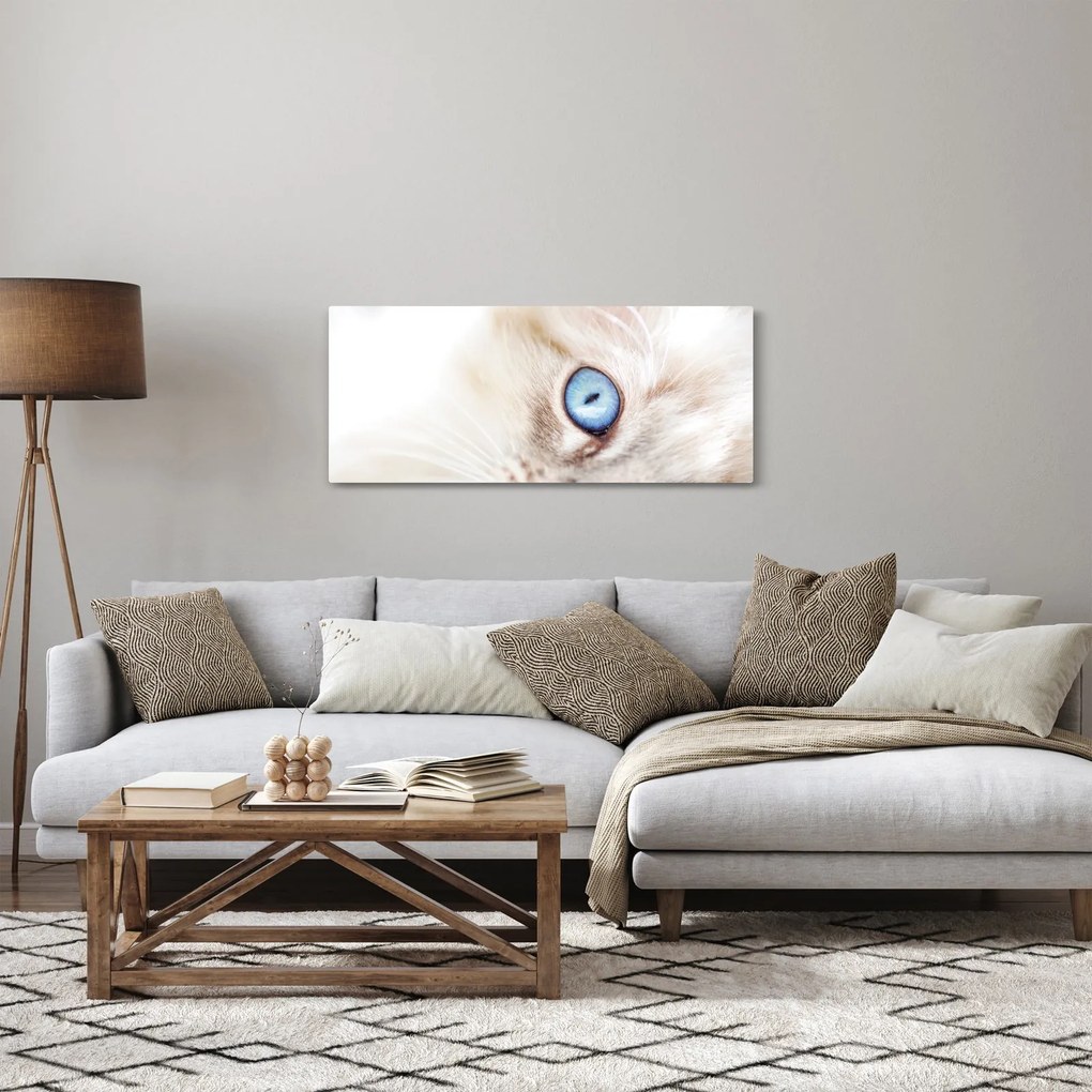Tablou - Pisicuță (120x50 cm)