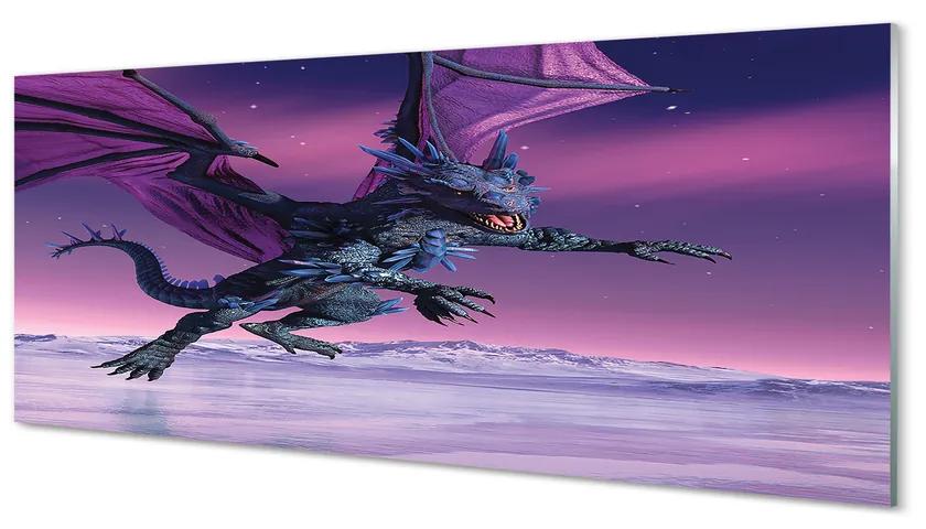 Tablouri acrilice Dragon cer colorat