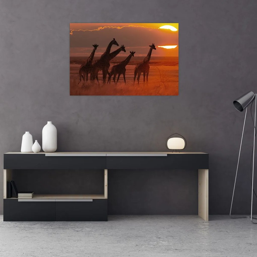 Tablou - Girafe în savana africană (90x60 cm)