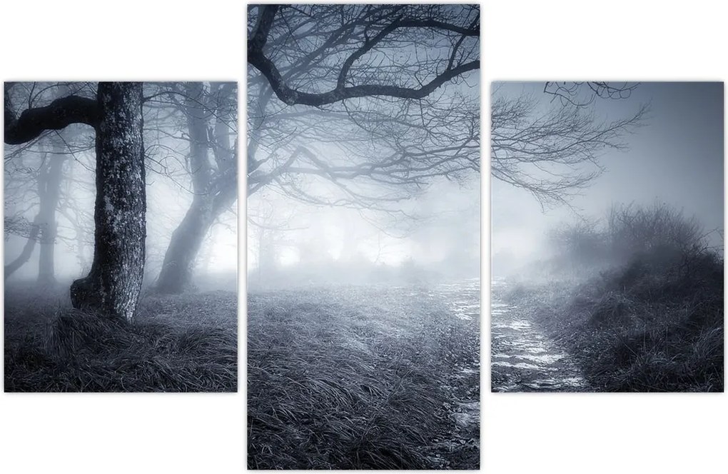 Tablou - Drum pin ceață (90x60 cm)