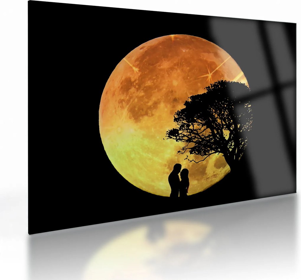 Tablou pe sticlă cu umbre în lumina lunii (70x50 cm)