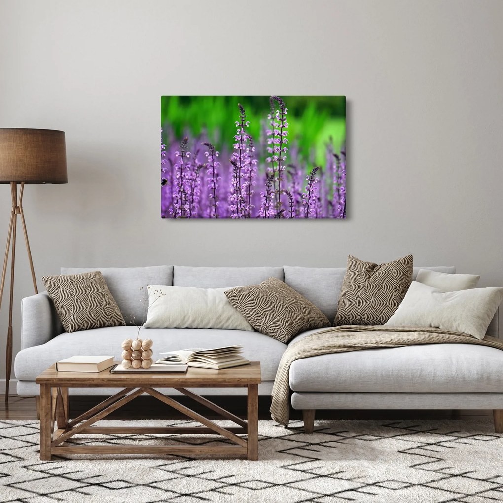 Tablou cu flori de luncă violete (90x60 cm)