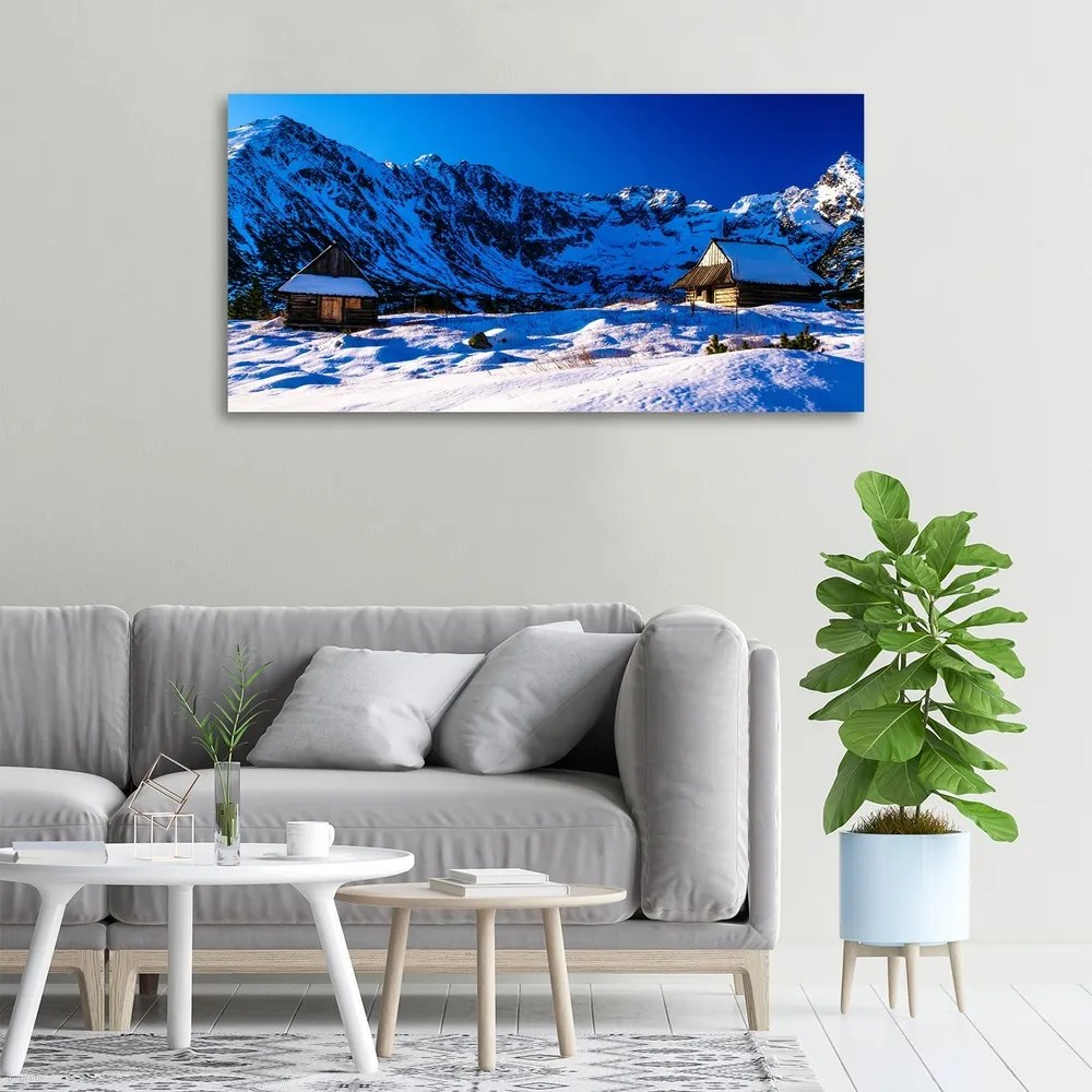 Tablou canvas Case în munții tatra