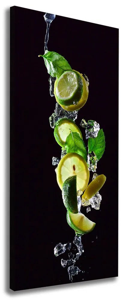 Tablou canvas Lime si lamaie