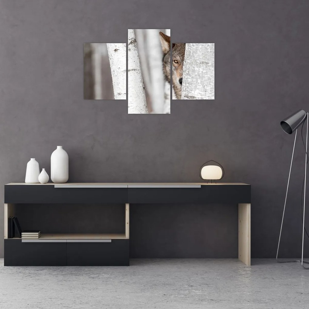 Tablou - Lup (90x60 cm)