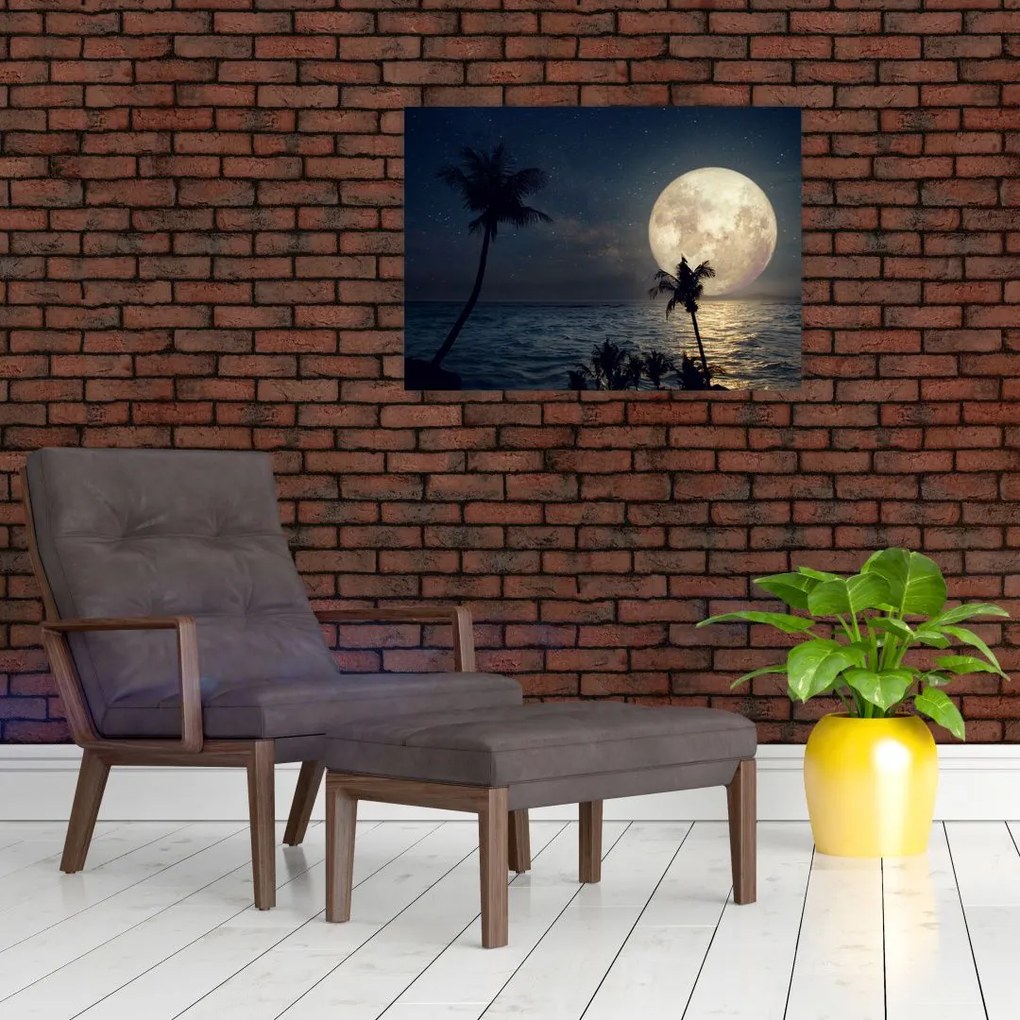 Tablou pe sticlă - Plaja cu lună plină (70x50 cm)