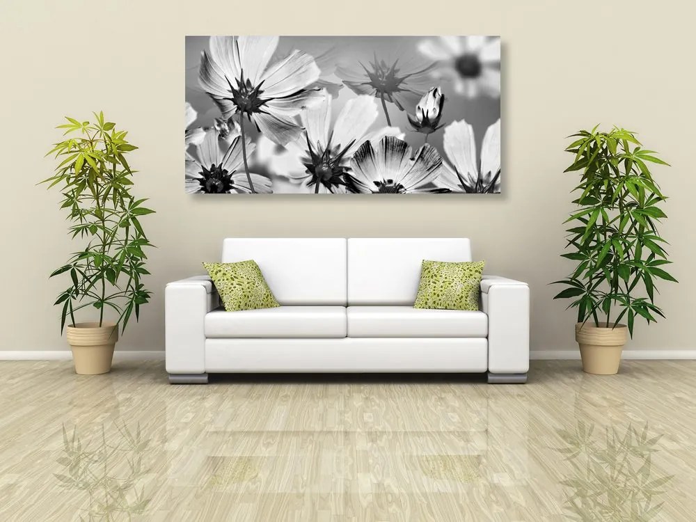 Tablou flori de grădină în design alb-negru