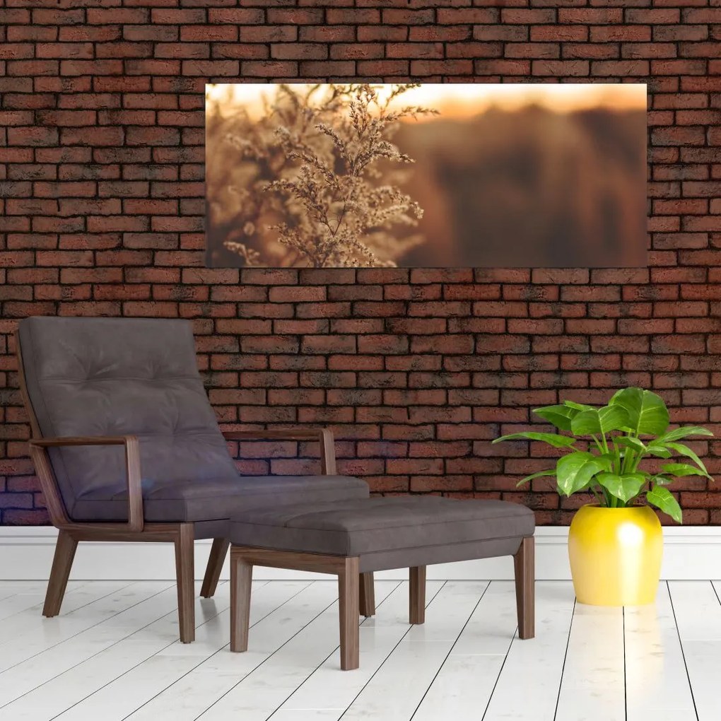 Tablou - Iarba înflorită (120x50 cm)