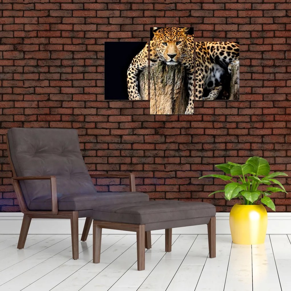 Tablou - Ghepard (90x60 cm)