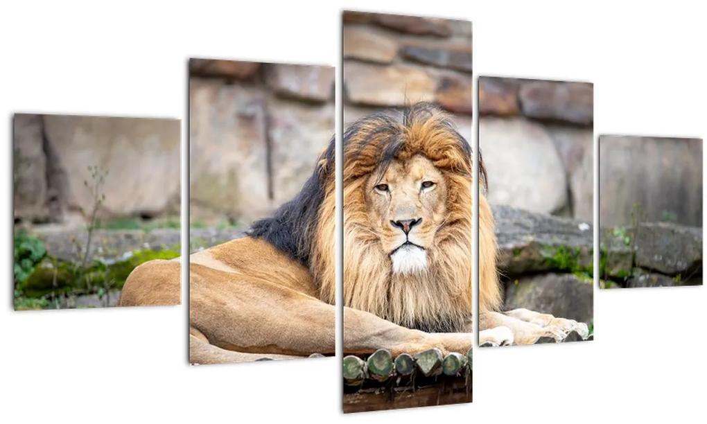 Tablou  cu leu (125x70 cm), în 40 de alte dimensiuni noi