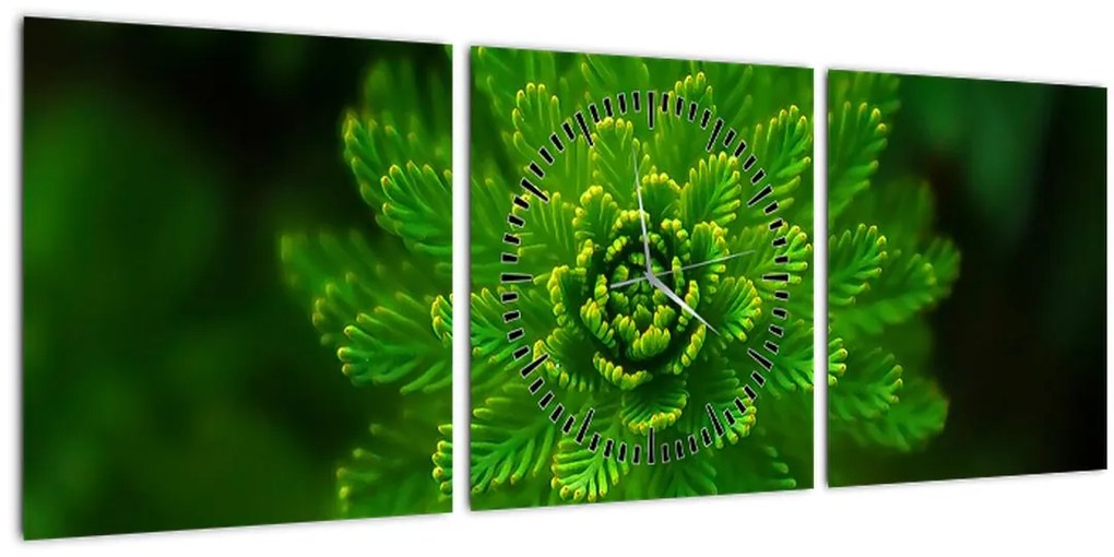 Tablou cu coniferi (cu ceas) (90x30 cm)