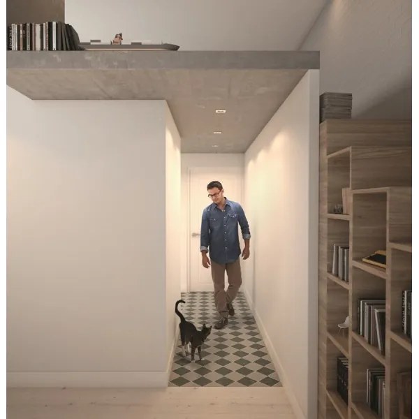 Philips  50393/11/P0 - SET 3xLED Lampă dimmabilă SHELLBARK LED/4,5W/230V