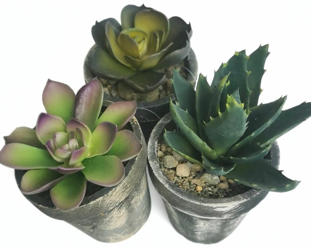 Plantă artificială în ghiveci Succulent, set de 3