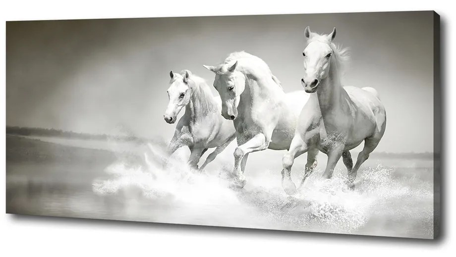 Tablou canvas Valuri înspumate