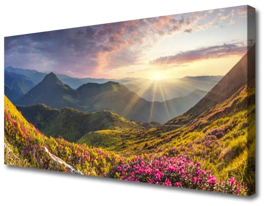 Tablou pe panza canvas Mountain Meadow Sun Peisaj Gri Albastru Galben Verde Roșu