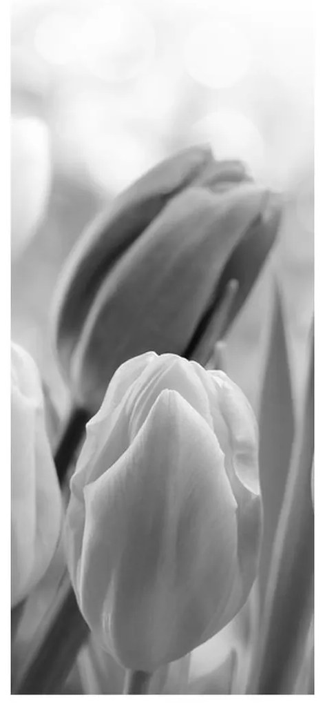 Fotojaluzele R012127R57150 (57x150 cm)