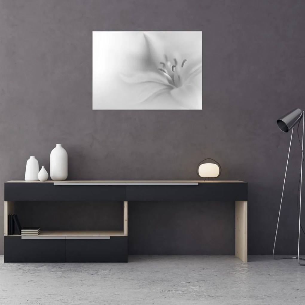 Tablou pe sticlă - Crin delicat (70x50 cm)