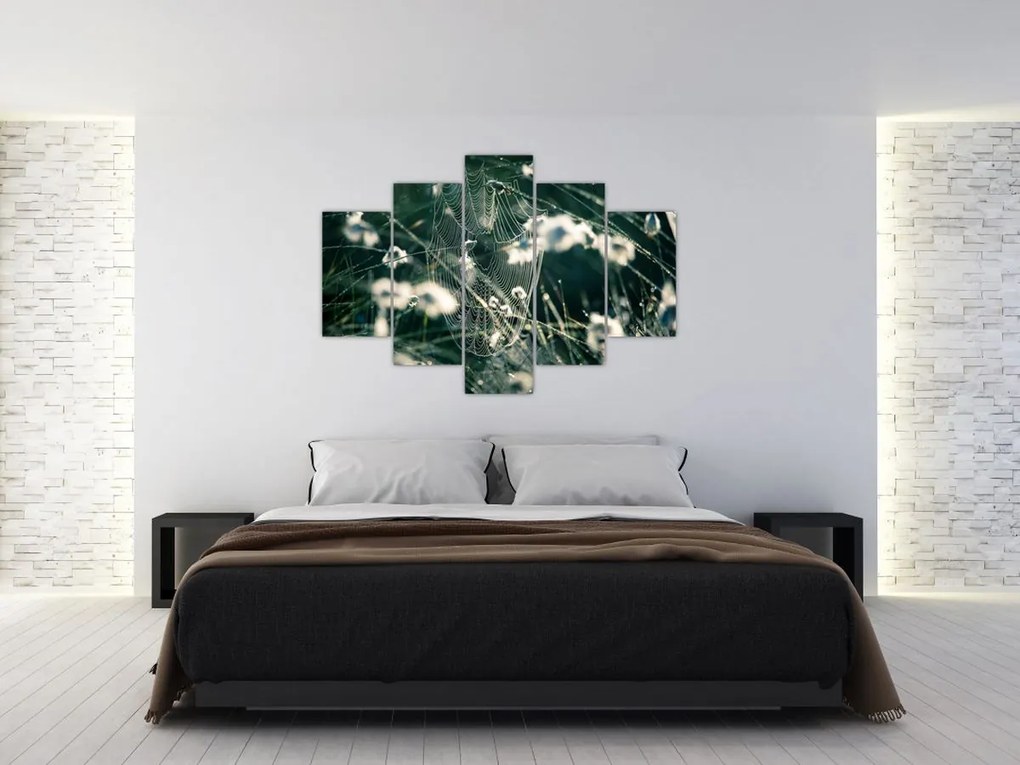 Tablou - Pânză de păianjen (150x105 cm)