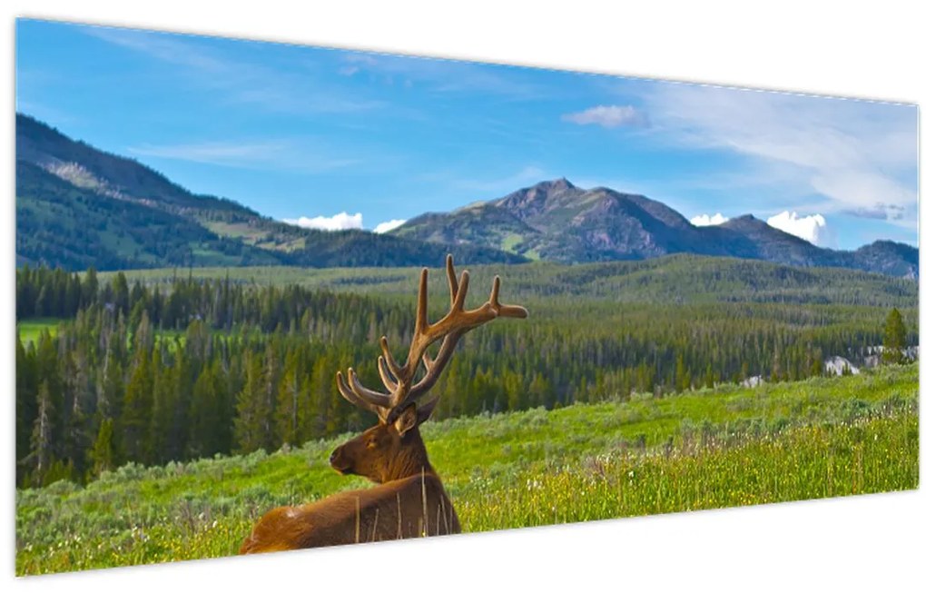 Tablou - Cerb în luncă (120x50 cm)