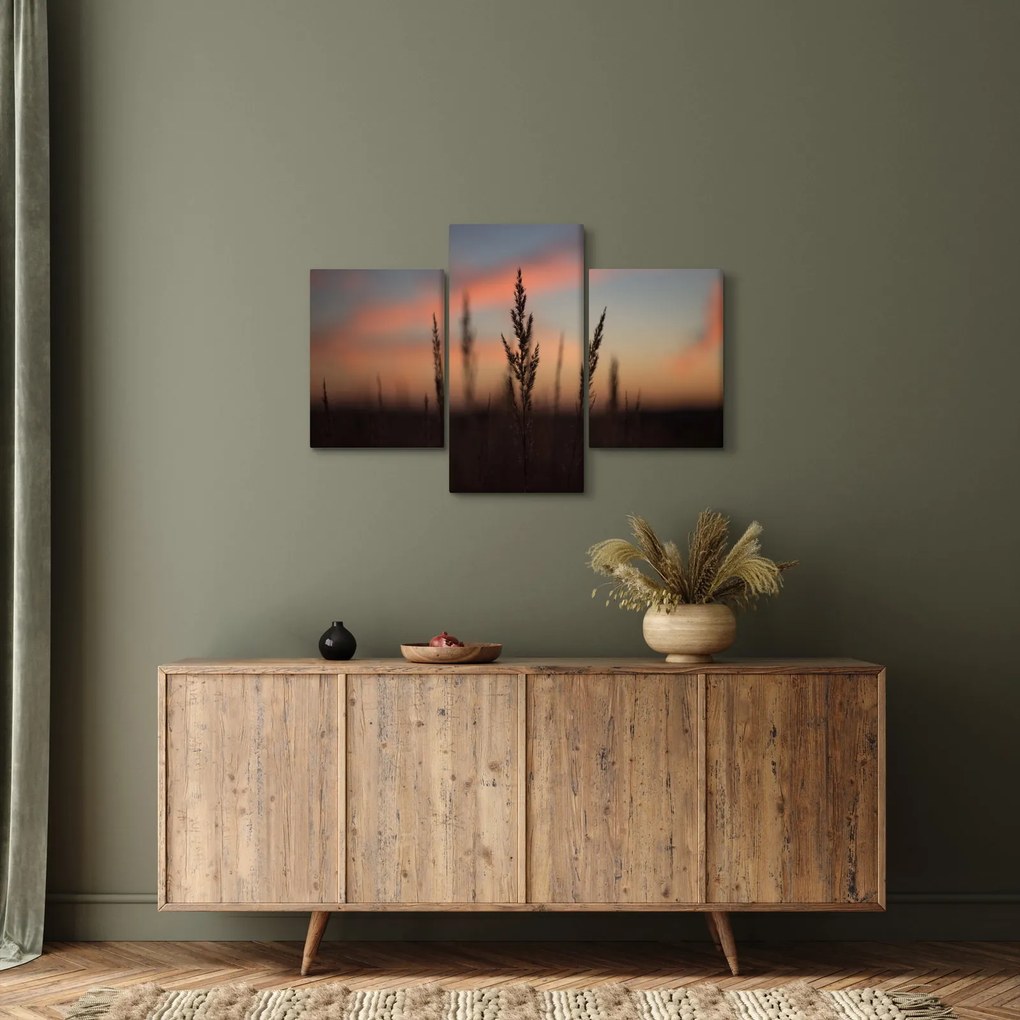 Tablou - Silueta plantei (90x60 cm)