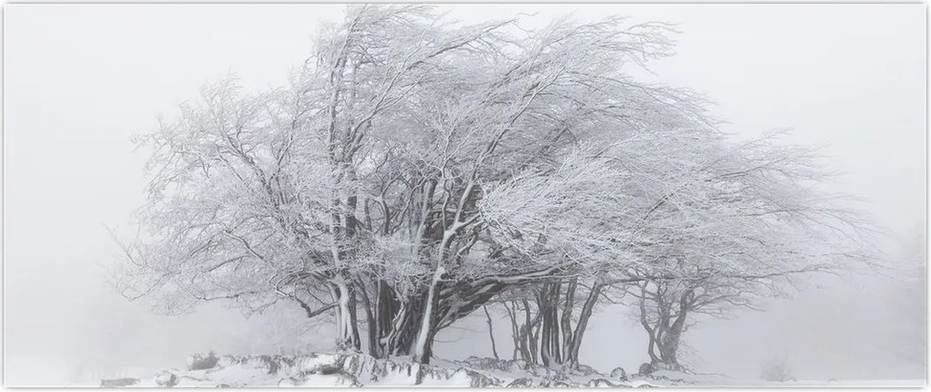 Tablou - Iarnă albă (120x50 cm)