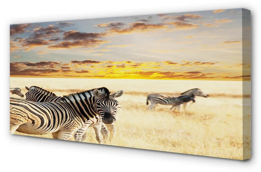 Tablouri canvas Zebre câmp apus de soare