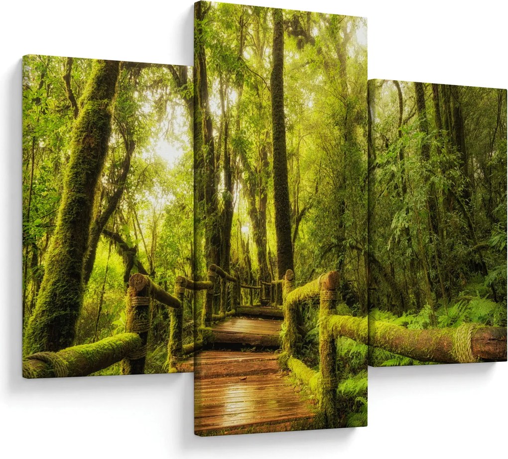 Tablou junglei cu mușchi (90x60 cm)