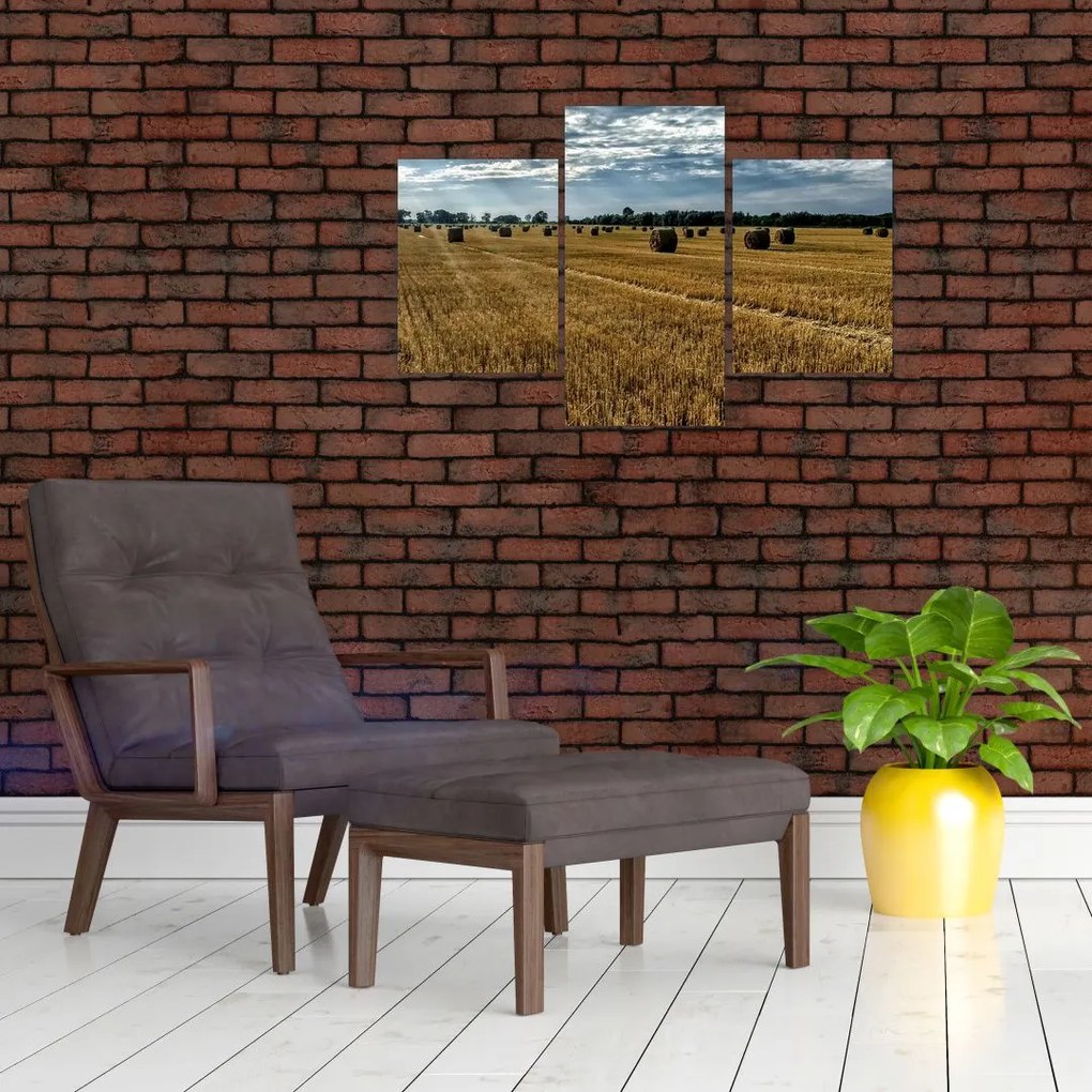 Tablou cu câmp recoltat (90x60 cm)