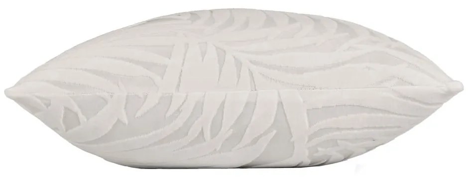 Față de pernă din catifea 40x40 cm Natureo – douceur d'intérieur