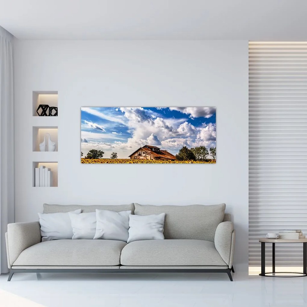 Tablou cu câmp de floarea soarelui (120x50 cm)