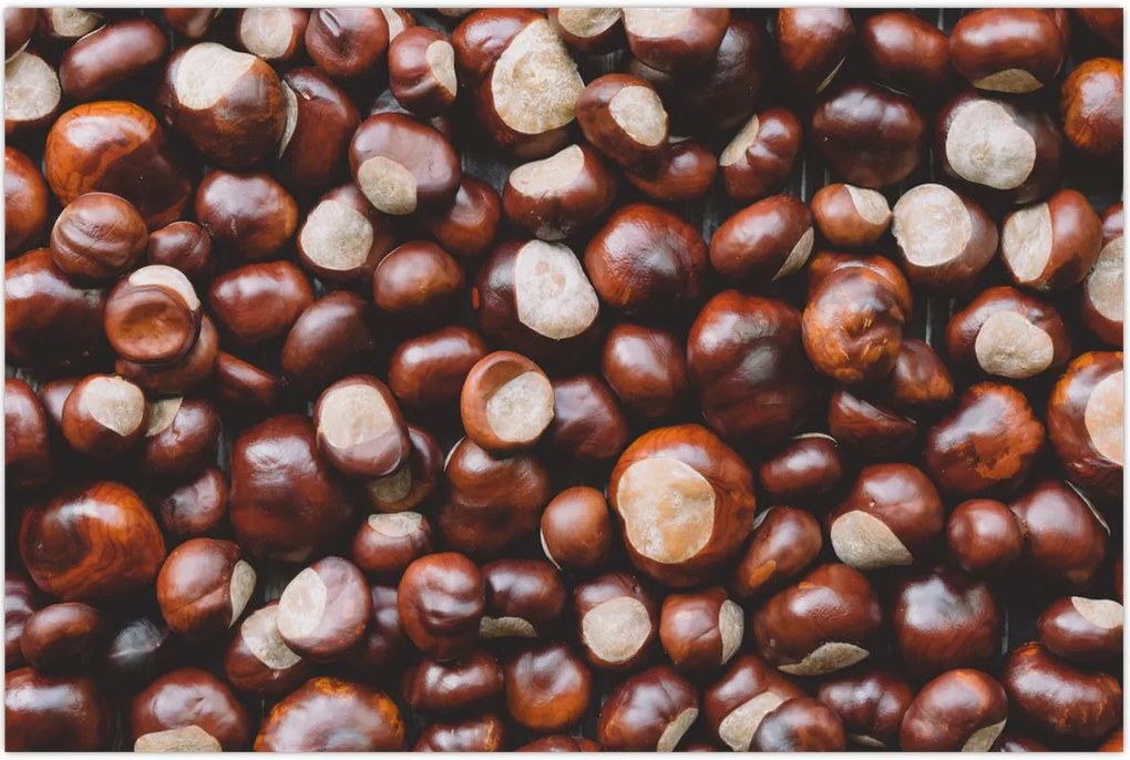 Tablou - Castane coapte (90x60 cm)