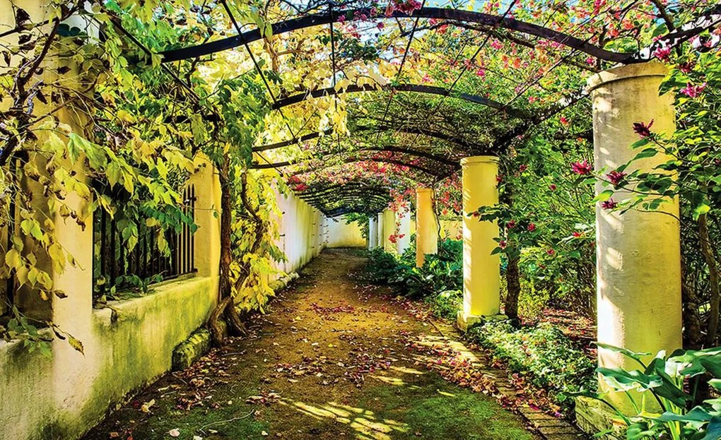 Fototapet - Grădina (152,5x104 cm)